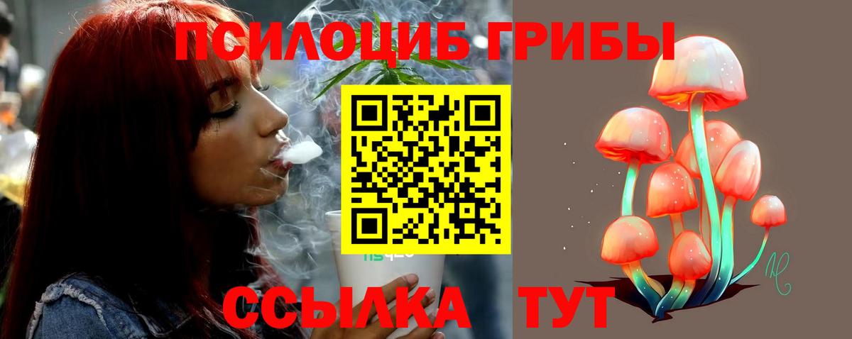 Галлюциногенные грибы Cubensis  сколько стоит  Каменка  Вход с VPN 